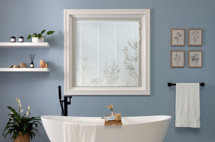 ODL_B&A_Blinds+Glass