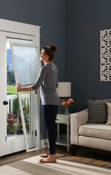 Odl Add On Blinds Door Window Treatments Between The Gl Odl Add On Blinds For Doors Raised Frame